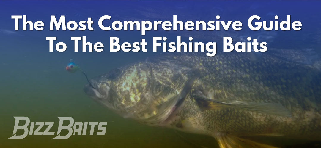 The Most Comprehensive Guide to The Best Fishing Baits Bizz Baits