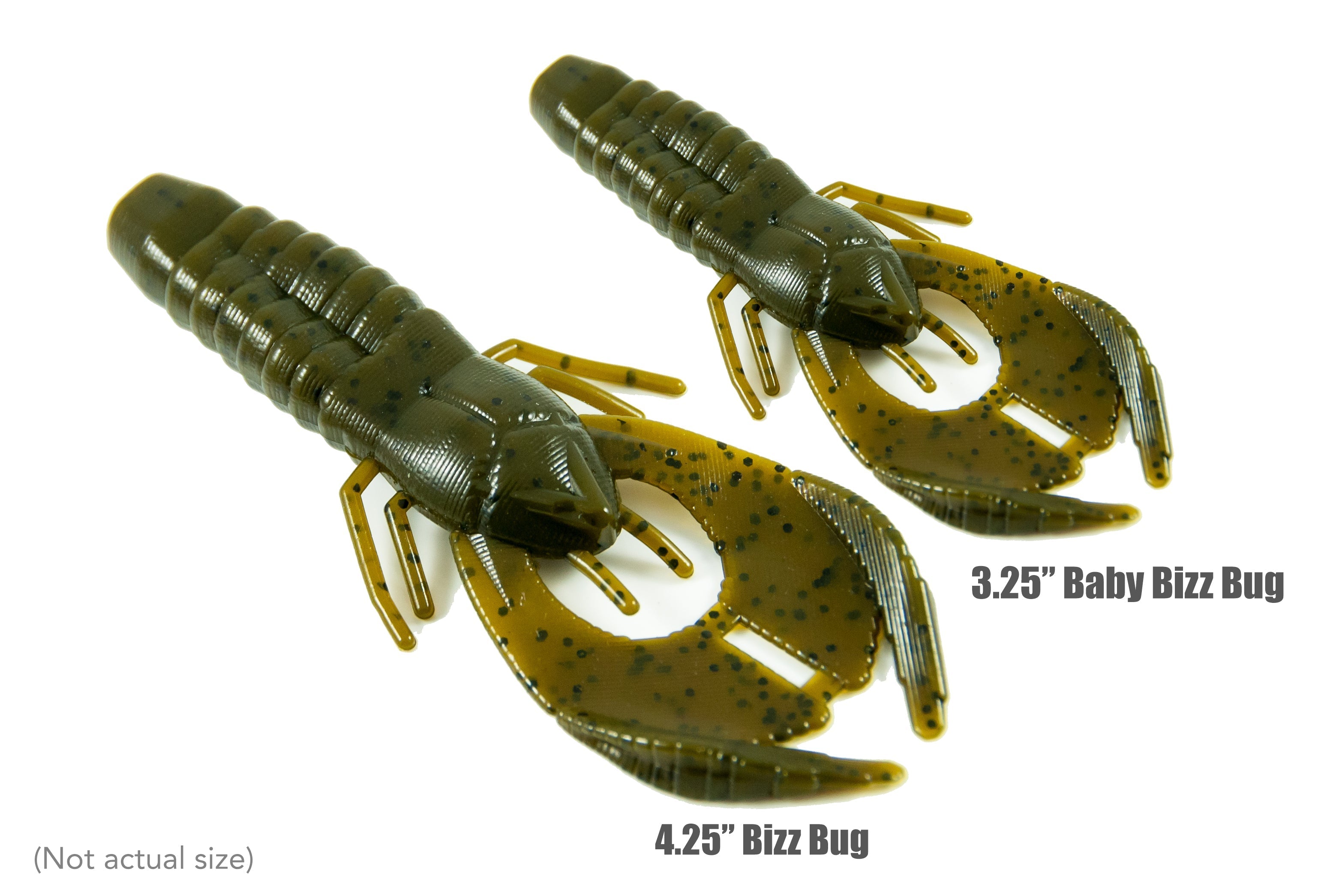 Bizz Bug | Bizz Baits