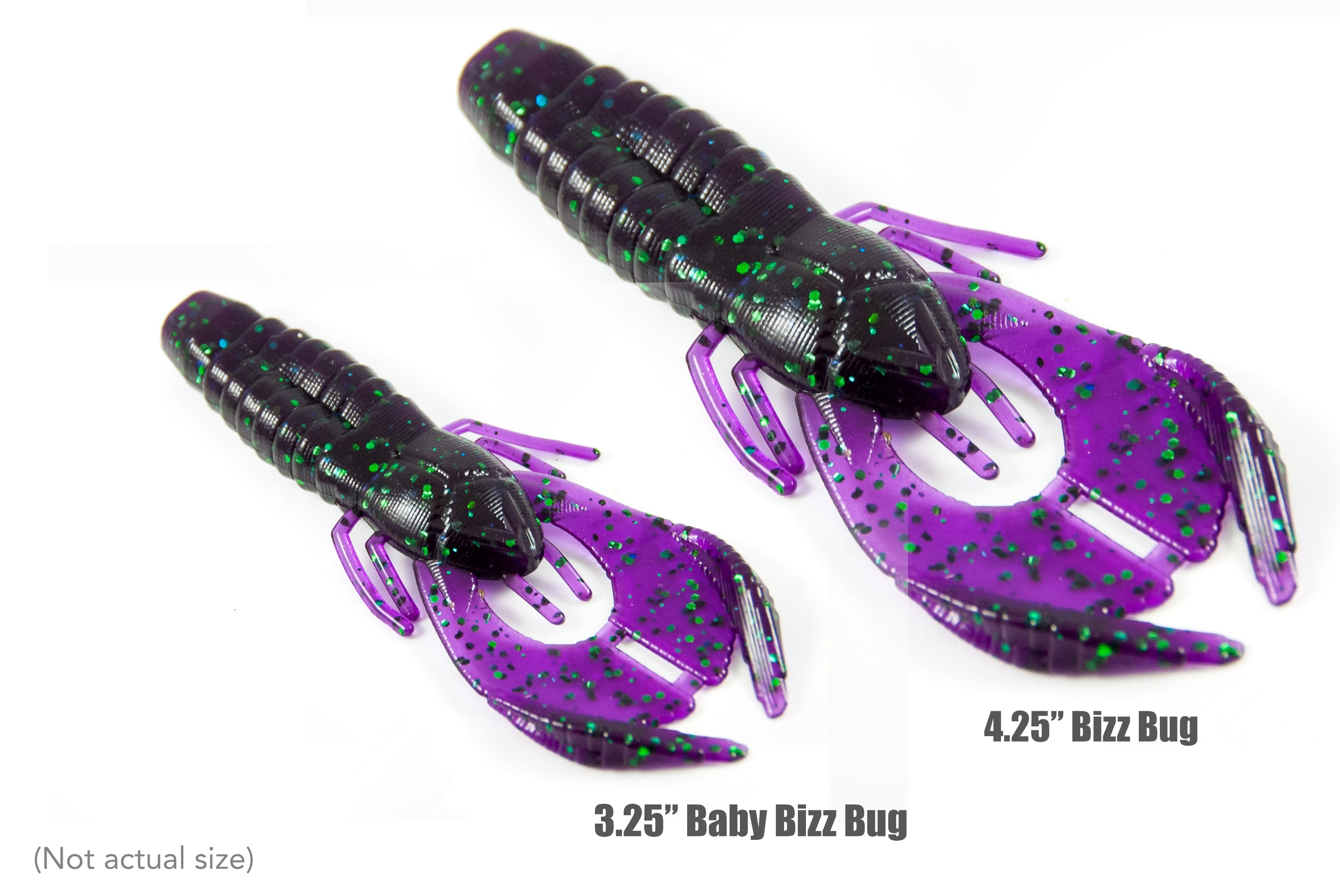 Baby Bizz Bug  | Bizz Baits