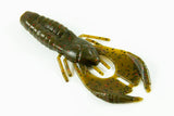 Baby Bizz Bug